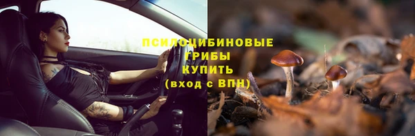 амф Тутаев