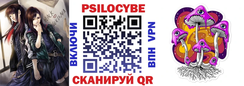 Купить Салехард Псилоцибиновые грибы Psilocybe
